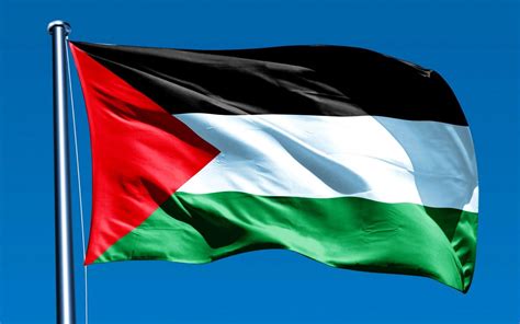 palestine flag images